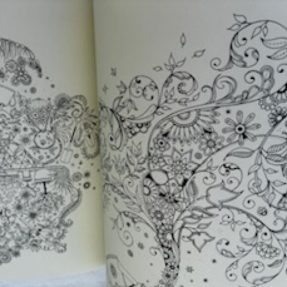 Secret Garden Treasure Hunt and Coloring Book - Picture 7 of 7